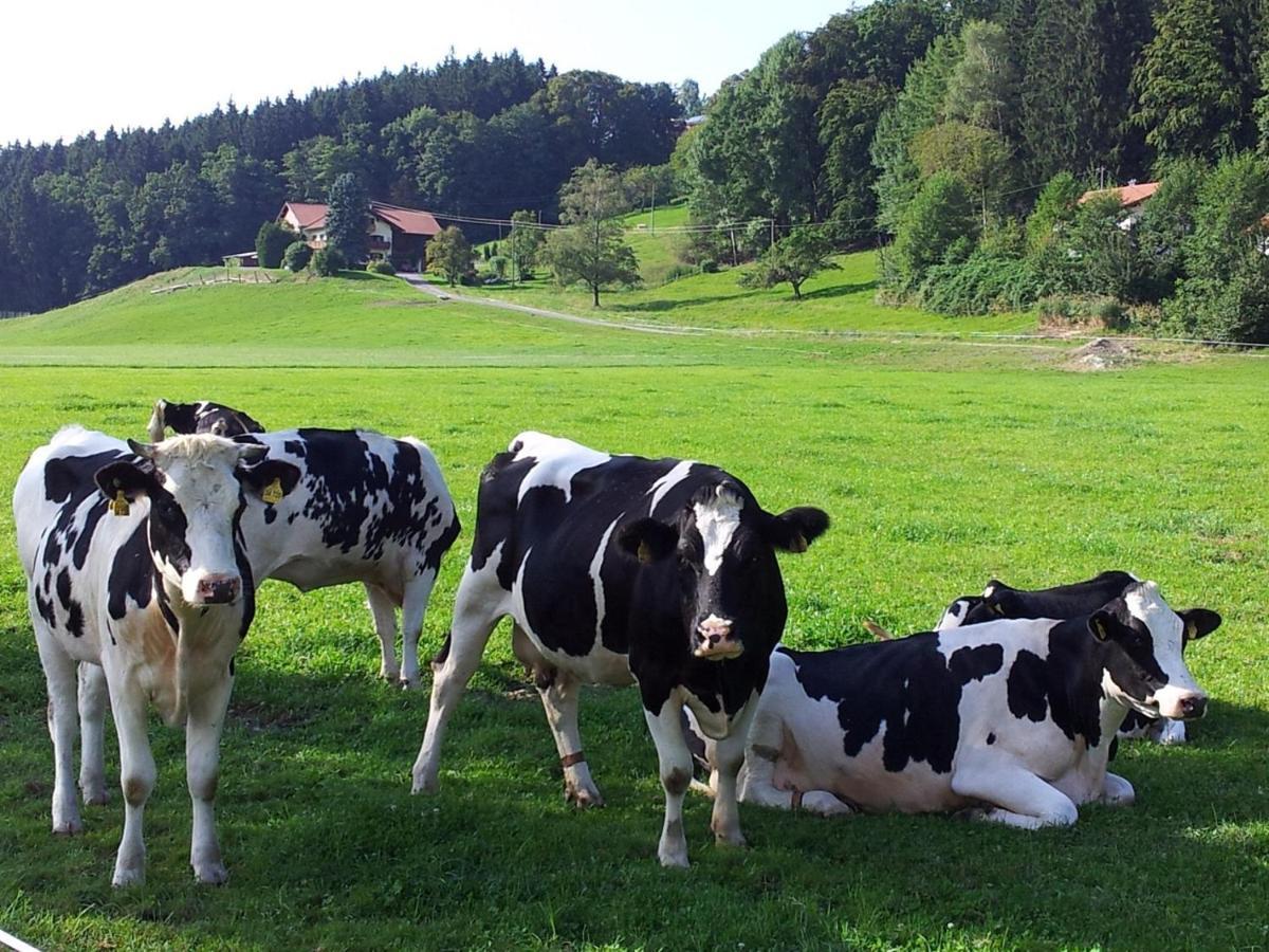 Zwischen Chiemsee Und Bergen Ug Bernau am Chiemsee Eksteriør bilde